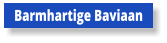 Barmhartige Baviaan